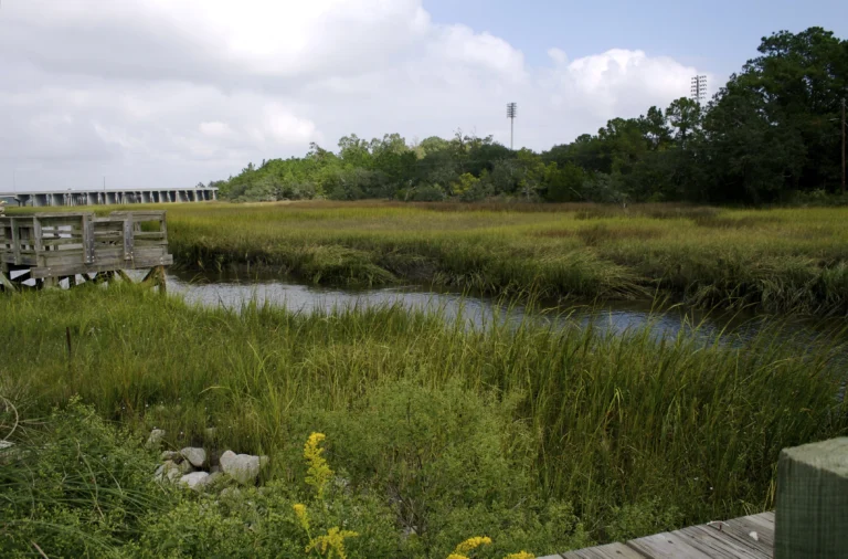 hvac problems daniel island sc