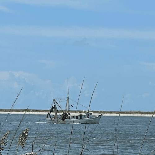 seabrook island sc